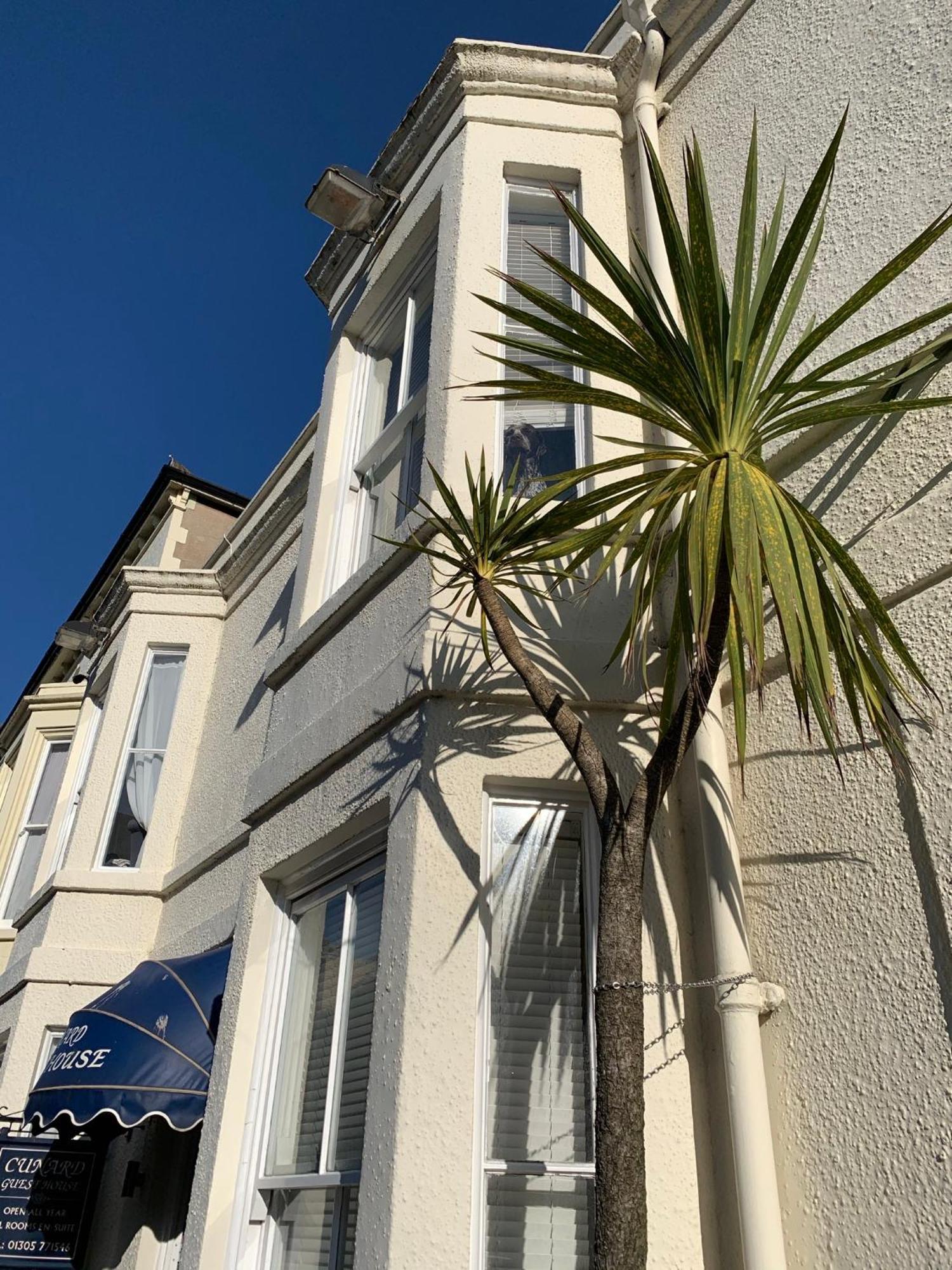 Cunard Guest House Weymouth Exterior foto